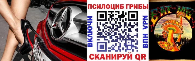 Купить где  Кореновск  Галлюциногенные грибы Psilocybine cubensis 